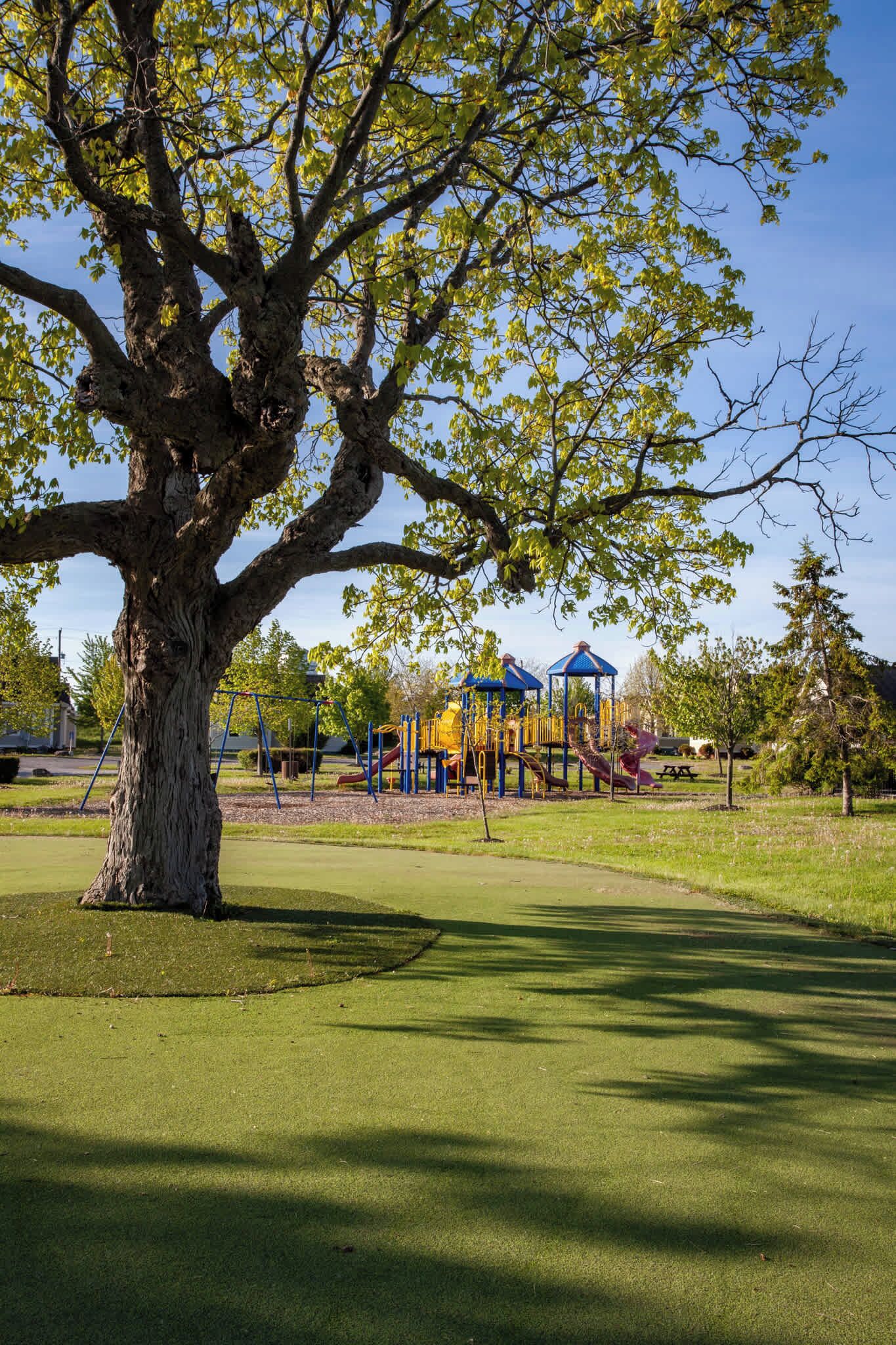 Children’s area