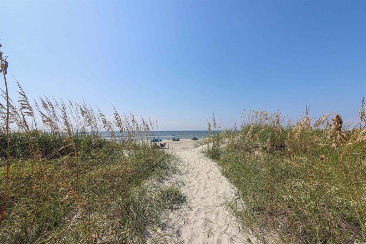 Un sentier de sable qui longe la plage et mène à la mer, bordé de hautes herbes.