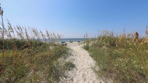 Un sentier de sable qui longe la plage et mène à la mer, bordé de hautes herbes.