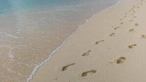 Een zanderig strand met voetafdrukken die het water ingaan.