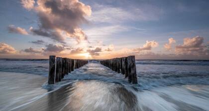 Pet-Friendly Escape by the Sea