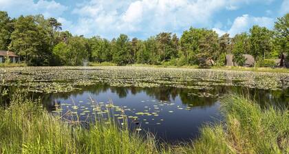 Bungalow in Limburg near Nature Reserve