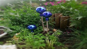 A garden with various plants and decorative blue spheres. - Apartment in Walchen near Ski Slopes (Piesendorf - Walchen)