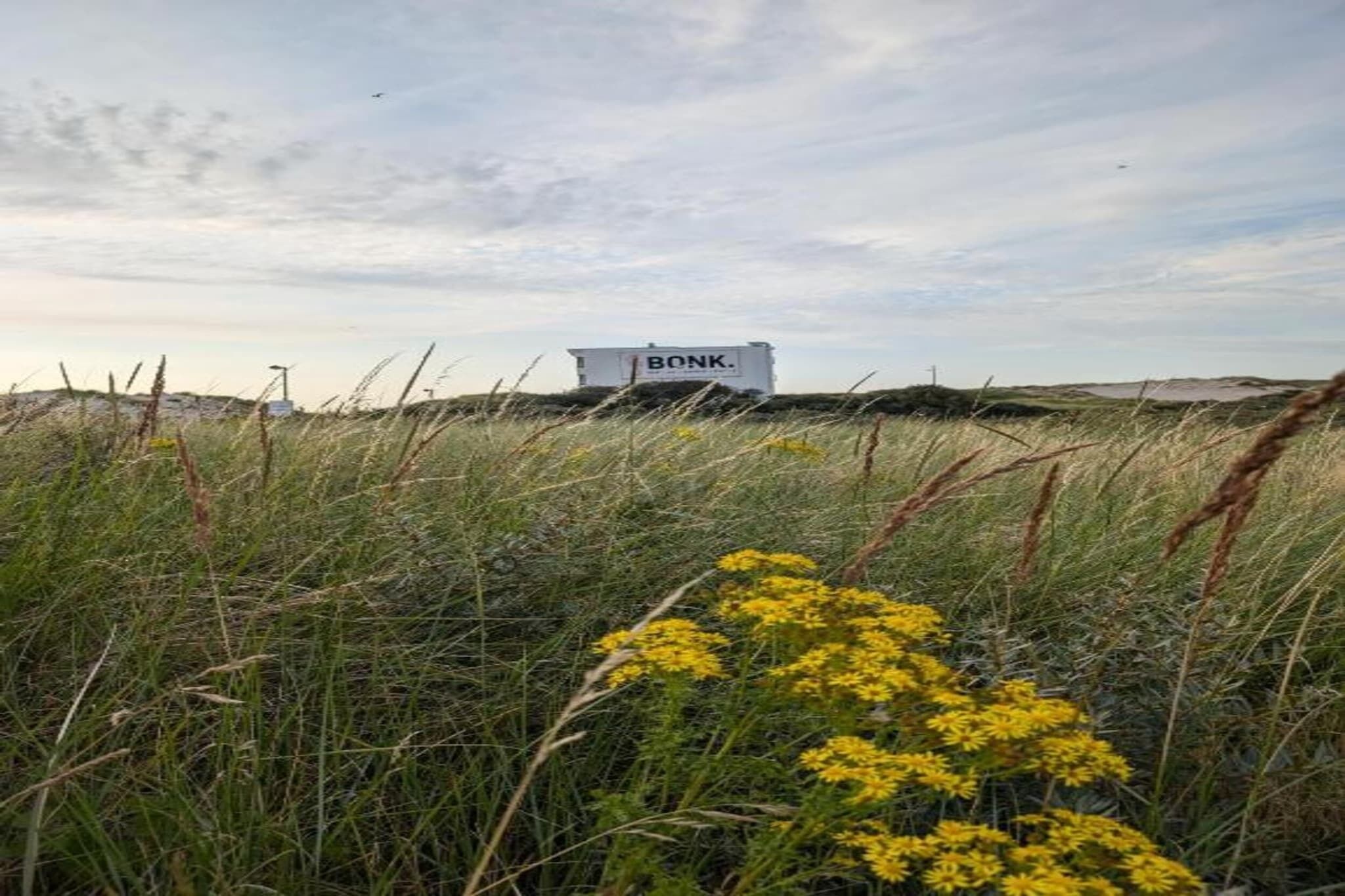 A white building with the text "BONK." in the center, surrounded by tall grass and yellow flowers.