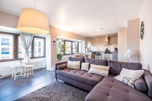 智能电视、DVD 播放器