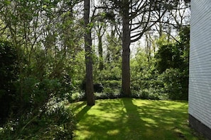 Terrain de l’hébergement 