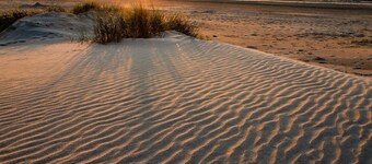 Encantador apartamento cerca de la playa