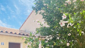 A building with a brown door and a number "15" on the wall. - V0736 - Holiday villa for 6 people 2 steps from the beach - terrace and parking lot (Vias)