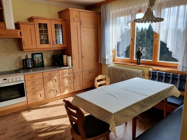 Fridge, oven, stovetop, dishwasher