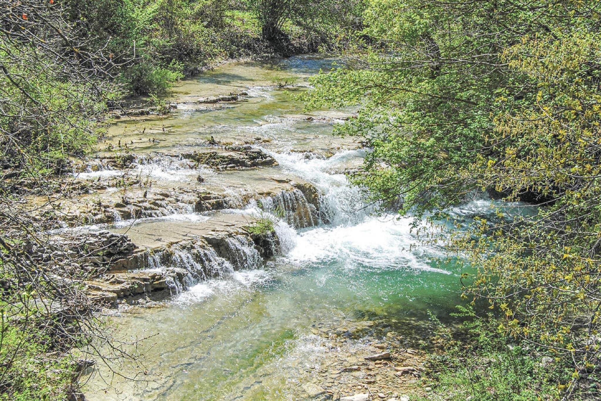 Ein natürlicher Bach mit klarem Wasser, das über Felsen fließt, umgeben von dichtem Grün.