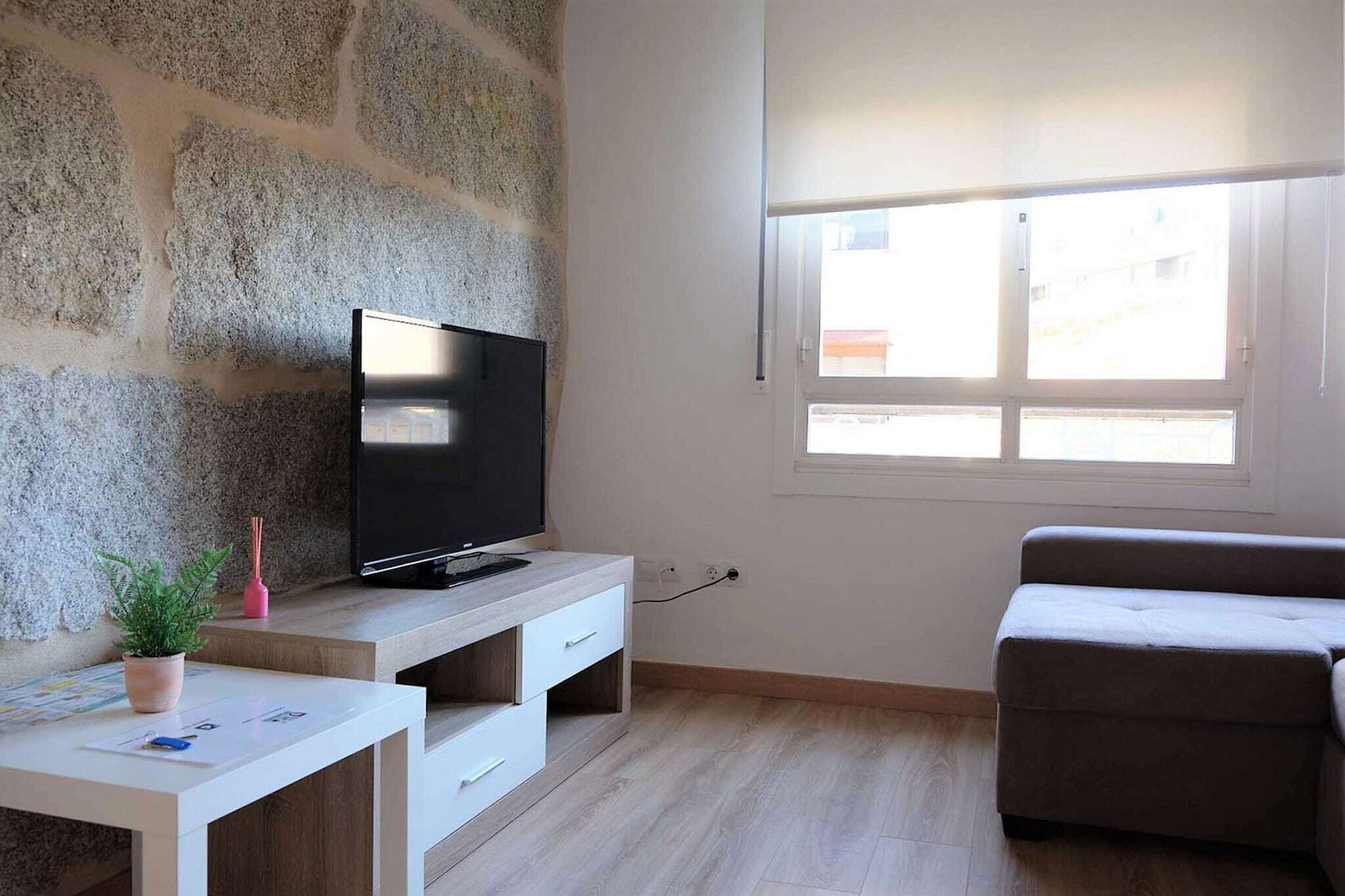 Ein Wohnzimmer mit Steinwand, einem Flachbildfernseher auf einem Holzbodenständer, einem kleinen Tisch mit Pflanze, einem grauen Sofa und einem Fenster mit Jalousien.