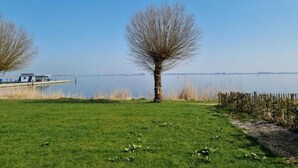 Una zona amb gespa, un arbre i un moll que s'estén cap a una calma massa d'aigua.