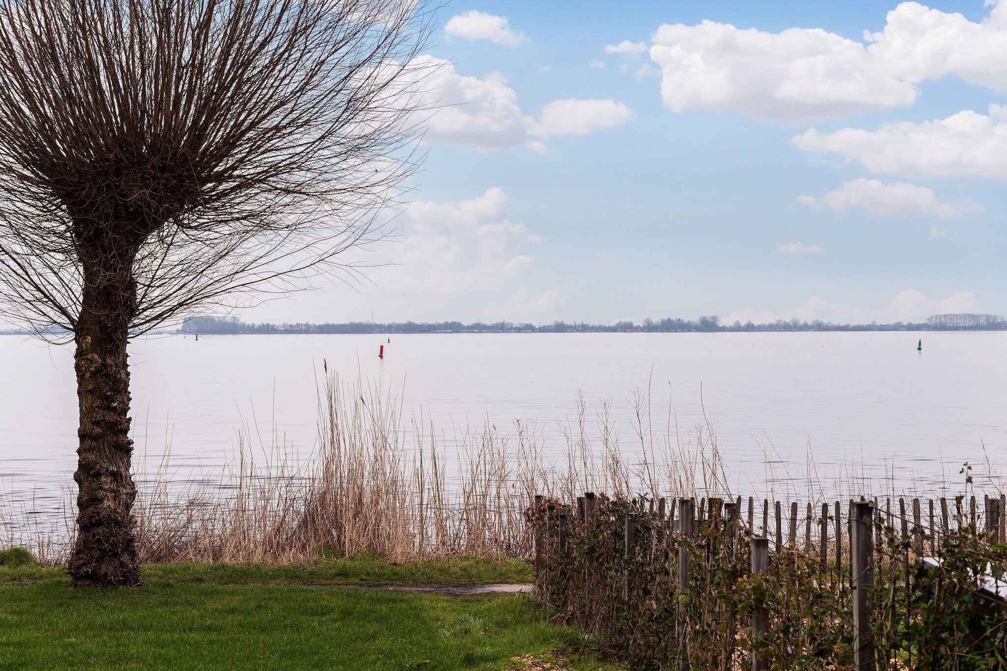 A tree-lined lakeside view with a wooden fence and distant buildings.