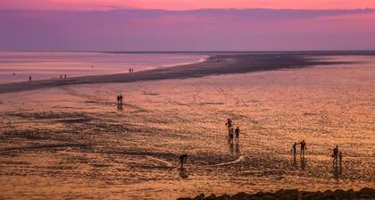 Chalet in Ternaard near Heritage Site