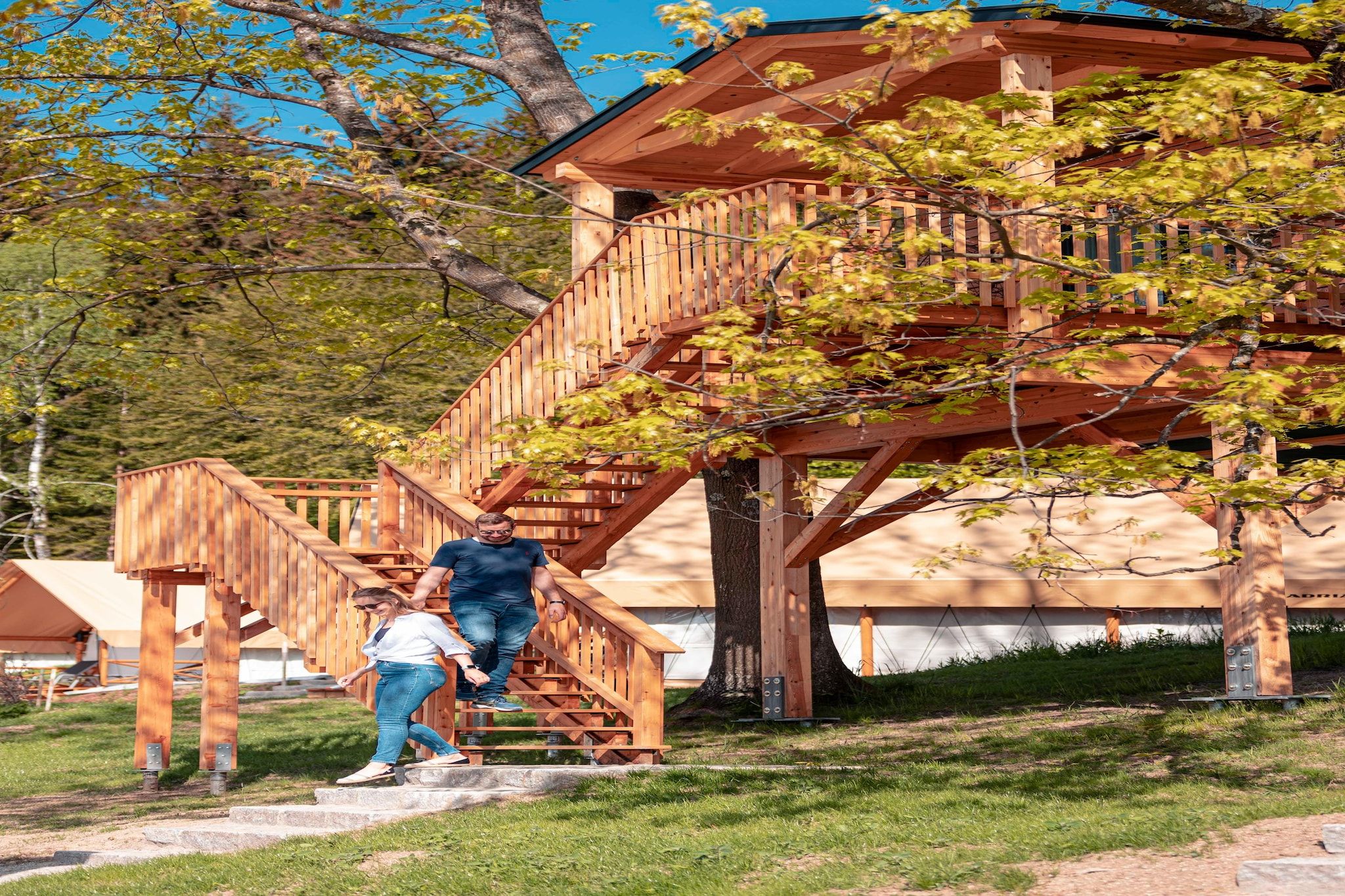 Un escalier en bois mène à une terrasse en bois d’où l’on peut admirer un arbre et un bâtiment en arrière-plan.