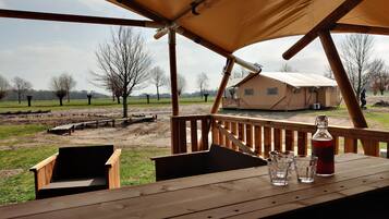 Terras