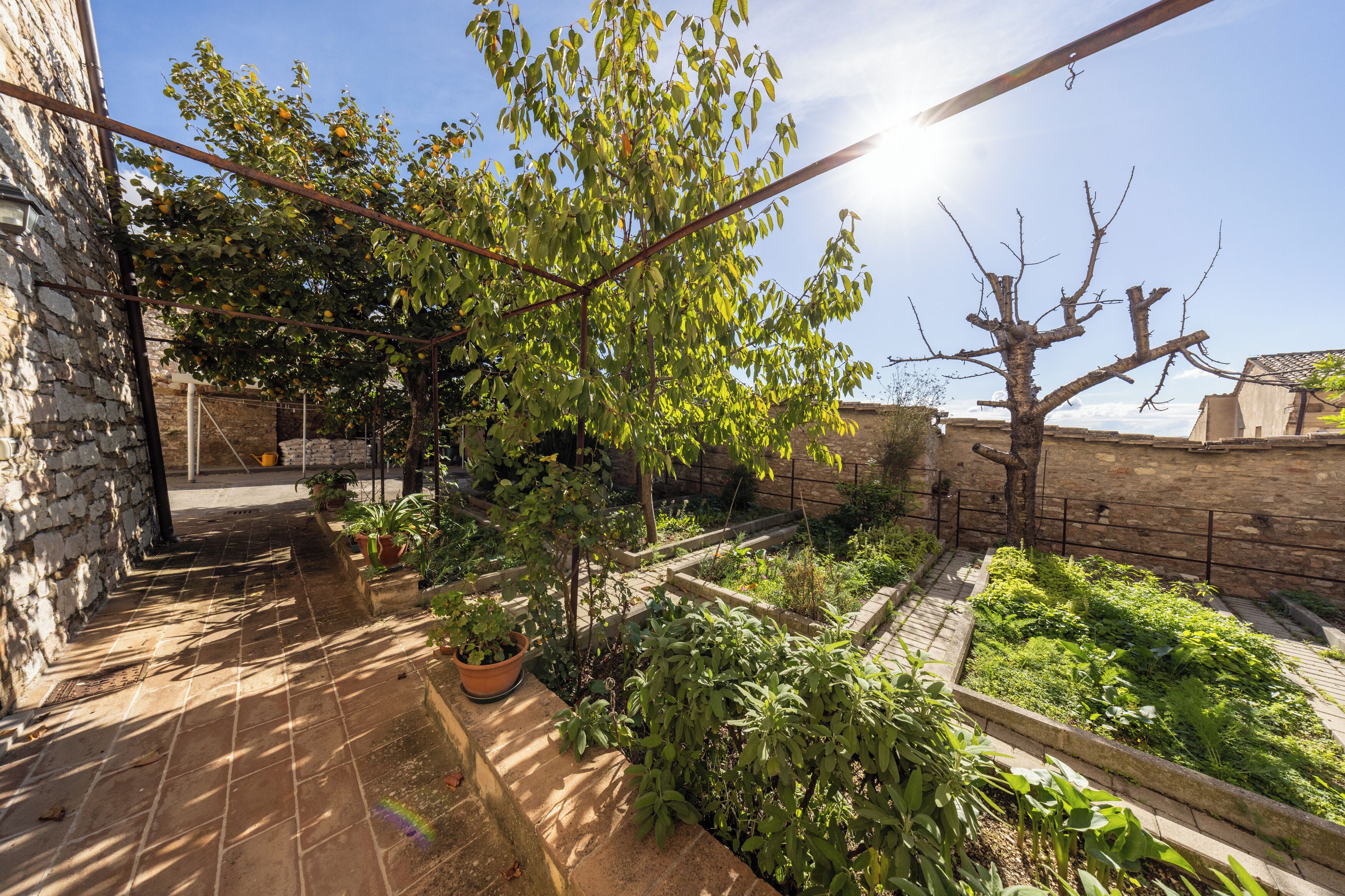A courtyard with a stone wall, potted plants, and a metal pergola.