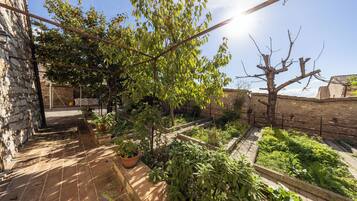 A courtyard with a stone wall, potted plants, and a metal pergola.