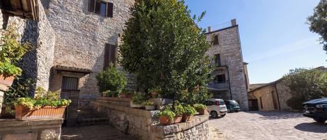 A stone building with a staircase leading to the entrance, surrounded by potted plants and parked cars.