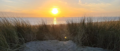 بالقرب من الشاطئ