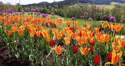 Ruhiges Ferienhaus in der Nähe von Wanderwegen