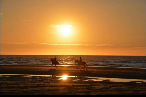 Apartment in De Haan near the Beach