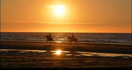 Apartment in De Haan near the Beach