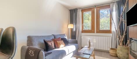 TV connectée, cheminée