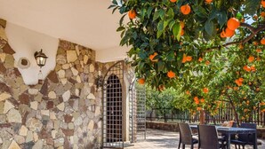 A stone wall with a metal gate, outdoor seating area with chairs and tables, and an orange tree with fruit.