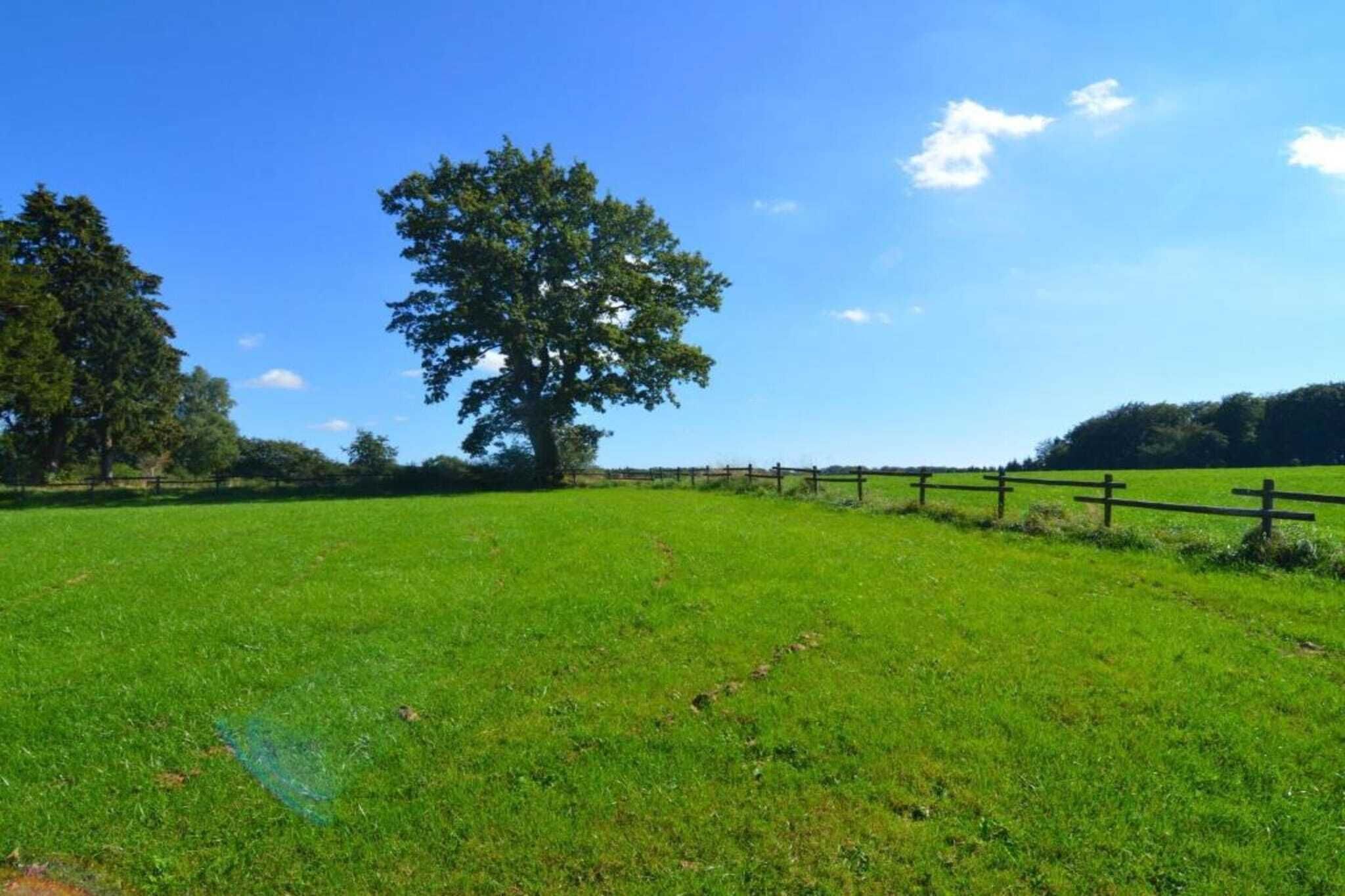 A grassy field with a large tree and a wooden fence.