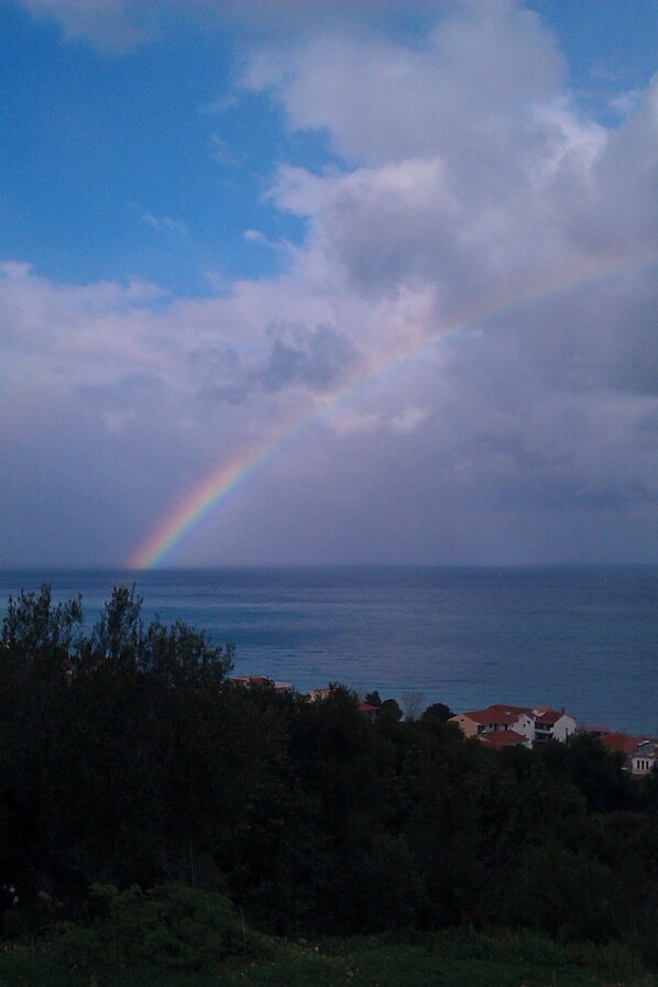 Un paysage côtier avec un arc-en-ciel au-dessus de la mer, des arbres et des bâtiments en arrière-plan.