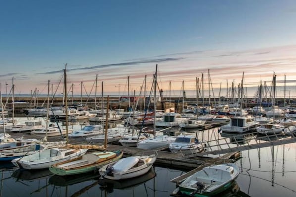 Marina