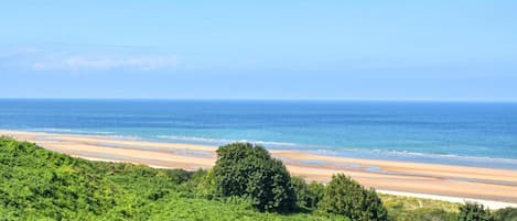 A beach with a clear view of the ocean, surrounded by lush greenery.
