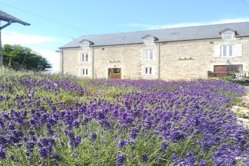 Escapade au chalet Golden Light