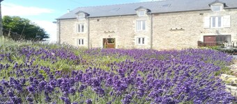 Golden Light Cottage Escape