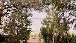 A paved pathway leading to a gated entrance, surrounded by tall evergreen trees. - Vector Home (Warsaw)