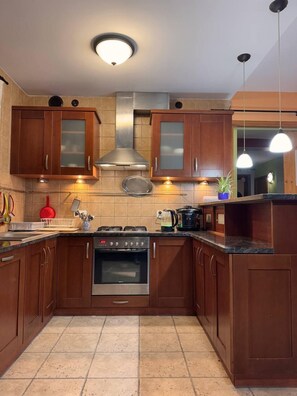 Full-sized fridge, microwave, oven, cookware/dishes/utensils - Vector Home (Warsaw)