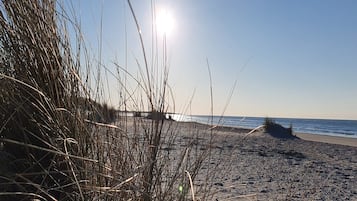 Una playa con pastos altos y cielo despejado.