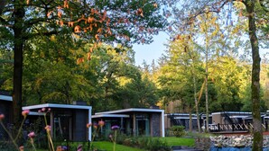 A modern outdoor area with a pond, surrounded by trees and a small bridge. - Forest-View Tiny House (Hoenderloo)