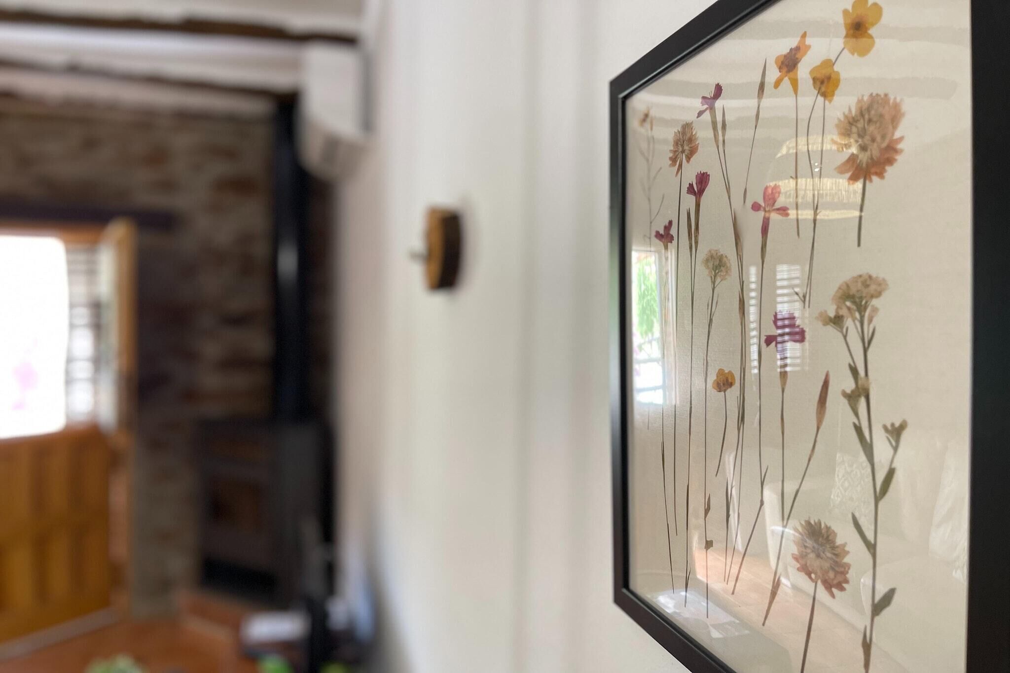 A framed botanical print on a wall.