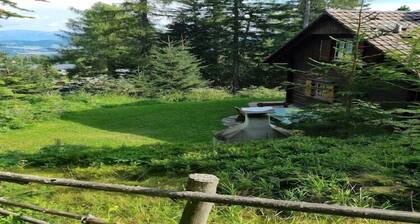 Alpine Hut in Murau near Ski Slope
