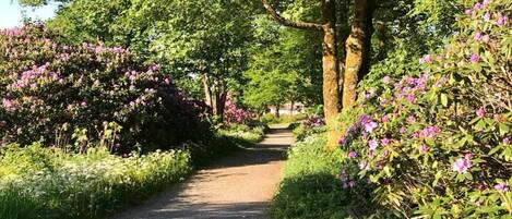 Áreas de la propiedad