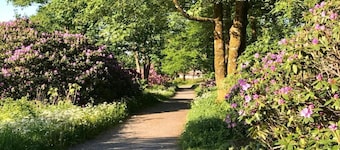 Getaway Near Harz Ski Slopes