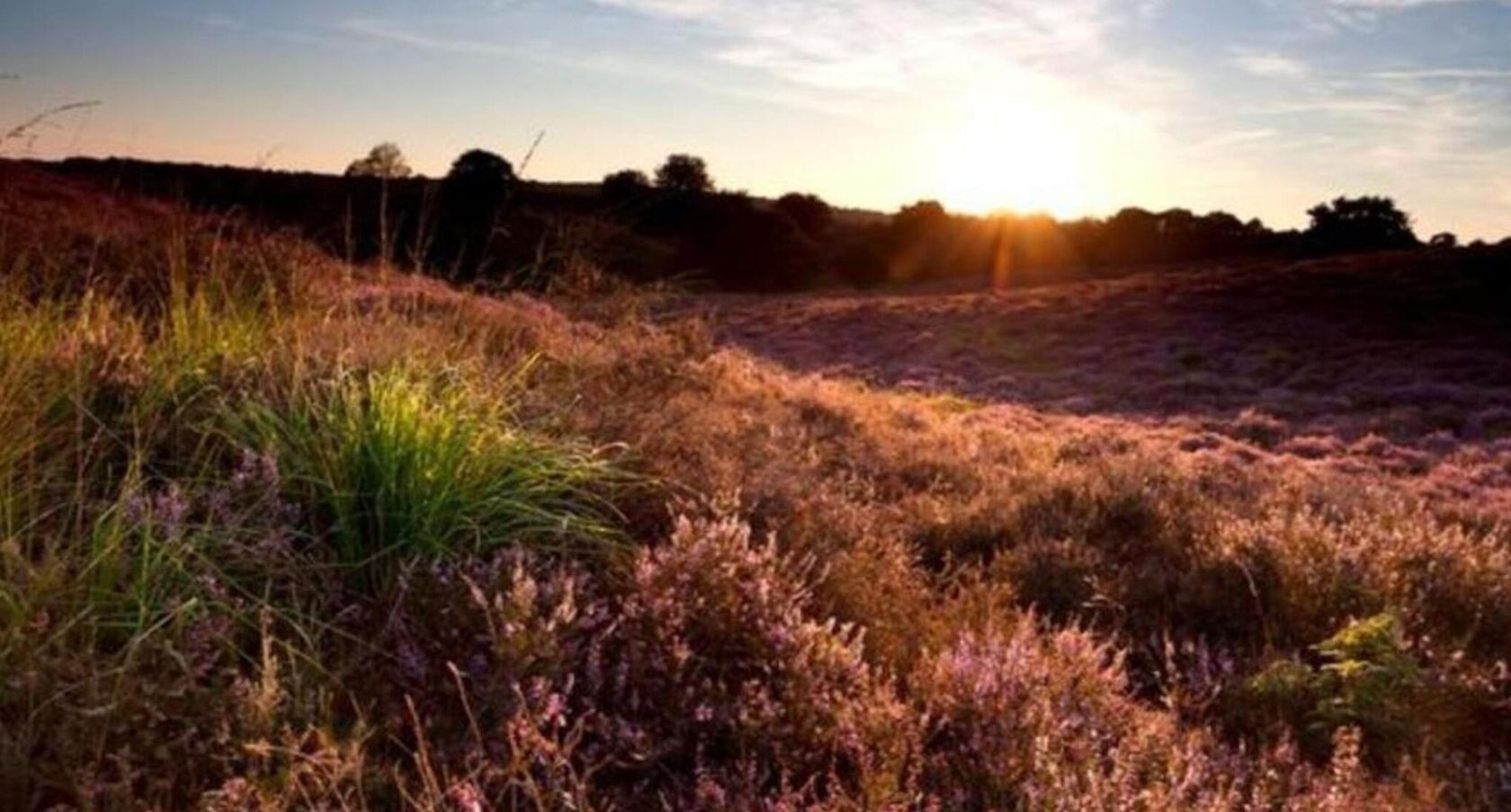 A natural landscape with a sunset.
