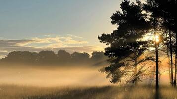 A misty landscape with a clear sky and a tree silhouetted against the sun.