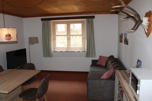 TV, fireplace, DVD player