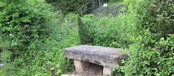Epple in Tübingen am Neckar