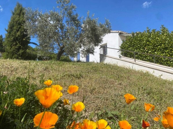 المنطقة المحيطة بالمنشأة