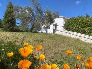 Property grounds - Chez Georges - House 6 - Lakes and Verdon Canyon (Esparron-de-Verdon)