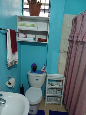 Serviettes fournies, savon, shampoing, papier toilette
